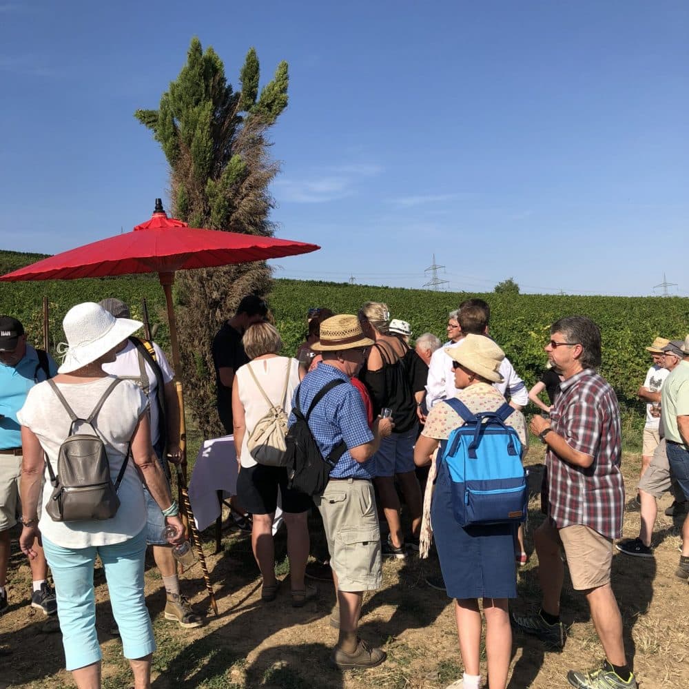 Wingertsheisje-Wanderung